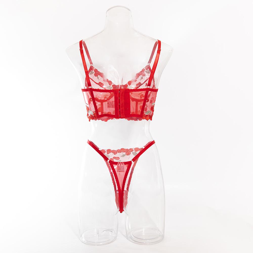 Sexy Embroidered Sheer Lingerie Set: Comfortable, Hot-Selling Two-Piece