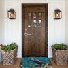 1PC Sea Turtle Kitchen Rug Non-Slip Door Mats Pop Design Bathroom Rug Bath Mat Carpet for Home Sink Laundry Decor
