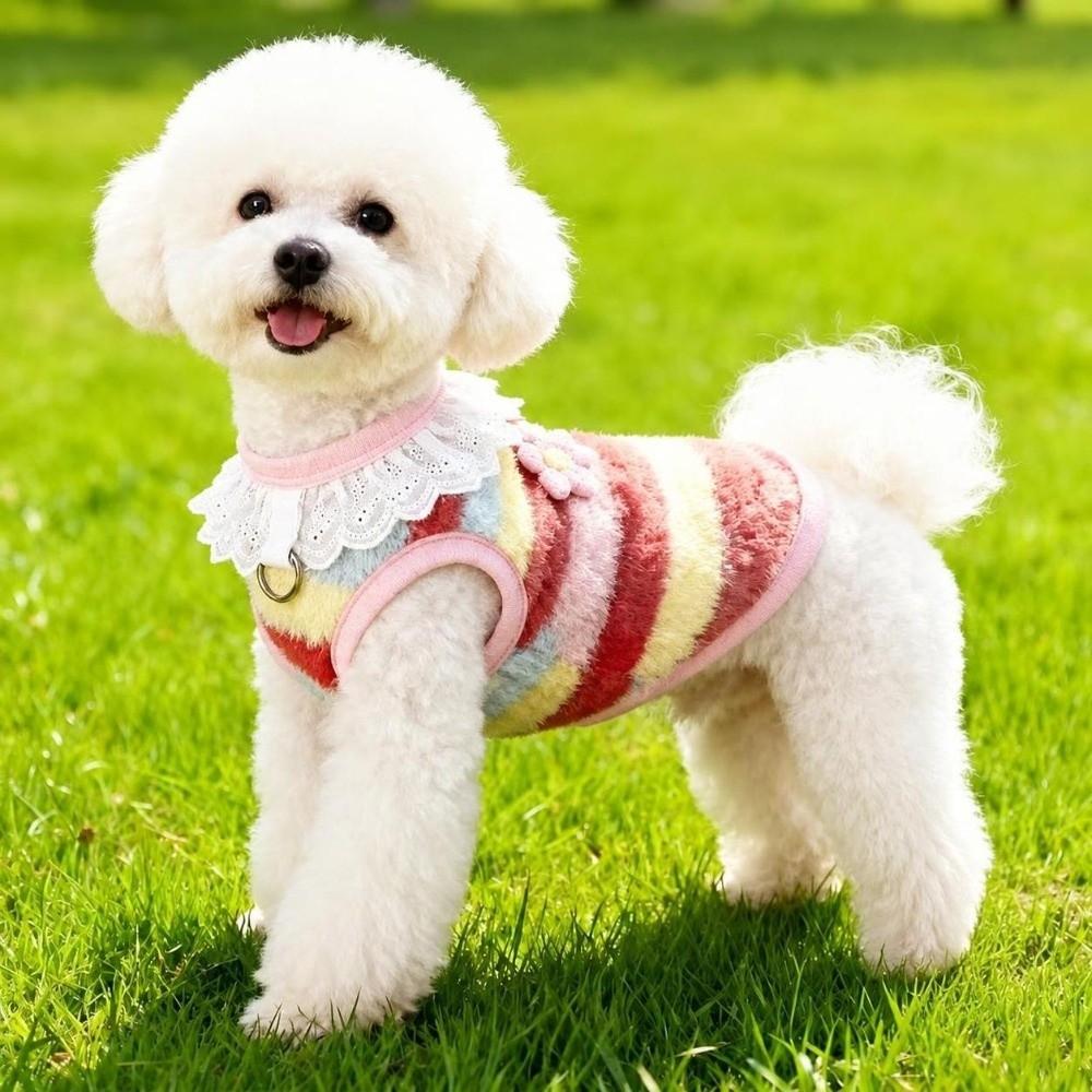 Doppelseitige Samt-Welpen-Winterweste Weicher Plüsch Katzen-Hoodies Neue Hundekleidung Outdoor