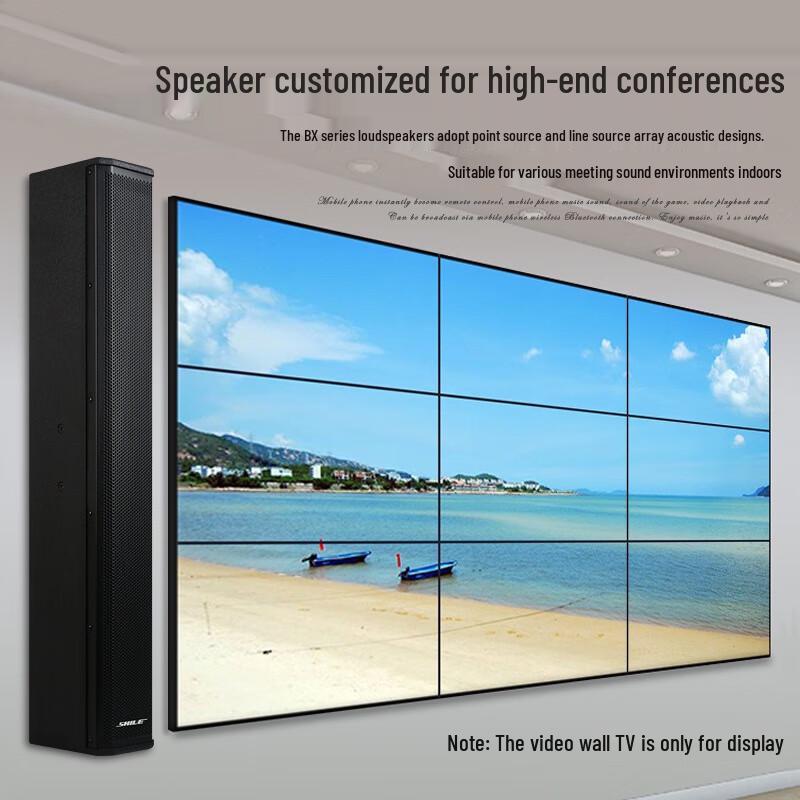 SHILE Professional 150W Conference Audio System