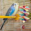 Pet Bird Parrot Colorful Beads Bell Toys Chewing Swing Cage Accessory