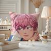 Kpop PPLAVE Bamby Cushion Cover Antidustmite Pillowcase Invisible zipper silky short plush Sofa cushion cover