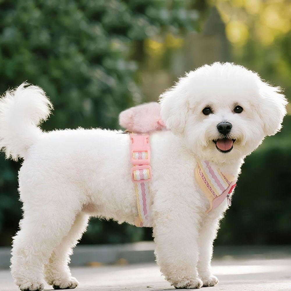 Dopamine Pet Chest Strap Soft Cat Jacket Harness Escape Proof Dog Harness  for Dogs Cats