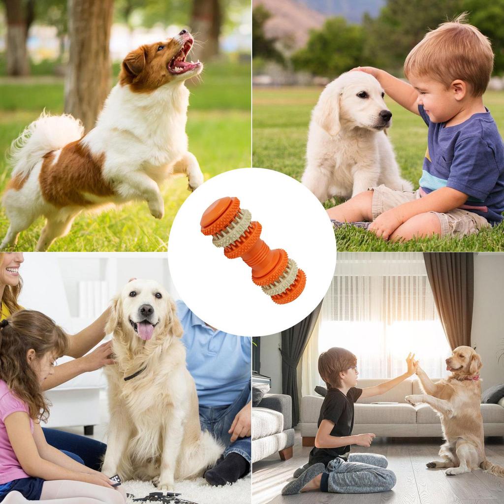 Hundespielzeug zum Kauen Zahnen Haustierspielzeug für Hunde Kauer Schalthebel Interaktiver Leckerli-Spender Haustierbedarf für Klein Mittel Groß