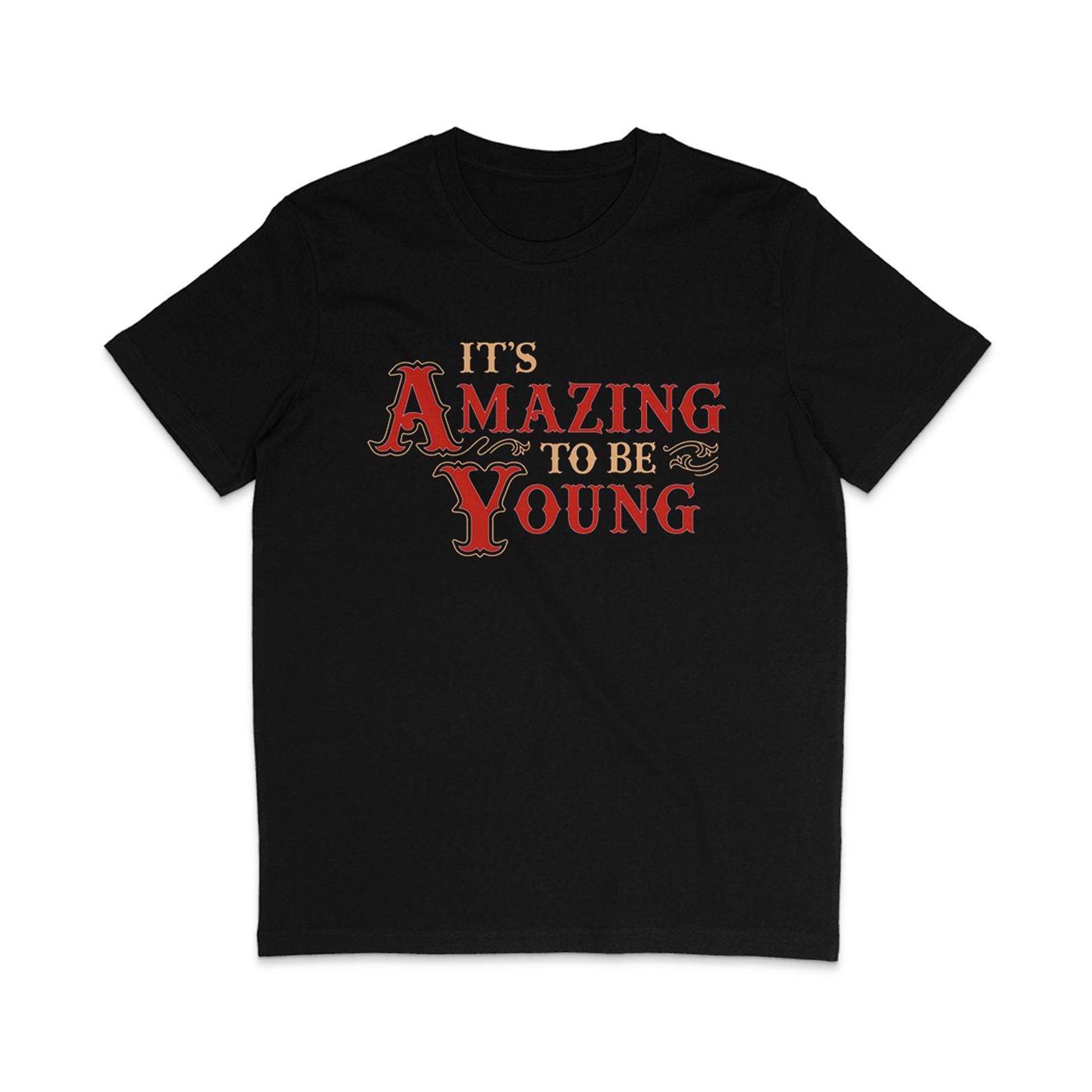 It s Amazing To Be Young - Fontaines DC 4XL