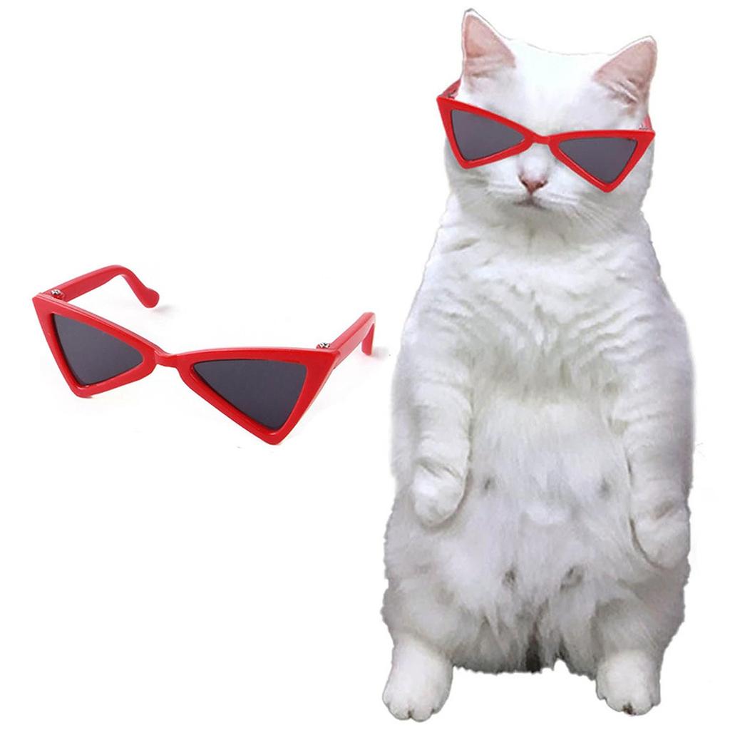 Personalise Sphynx Sunglasses Pet Accessories for Cats Puppy  Goggles Windproof Glasses Pet Outdoor Traveling Supplies