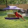 Large Capacity Hanging Bird Feeder House Type Leak-Proof Automatic Hummingbird Feeder Transparent Plastic Bird Feeding Artifact