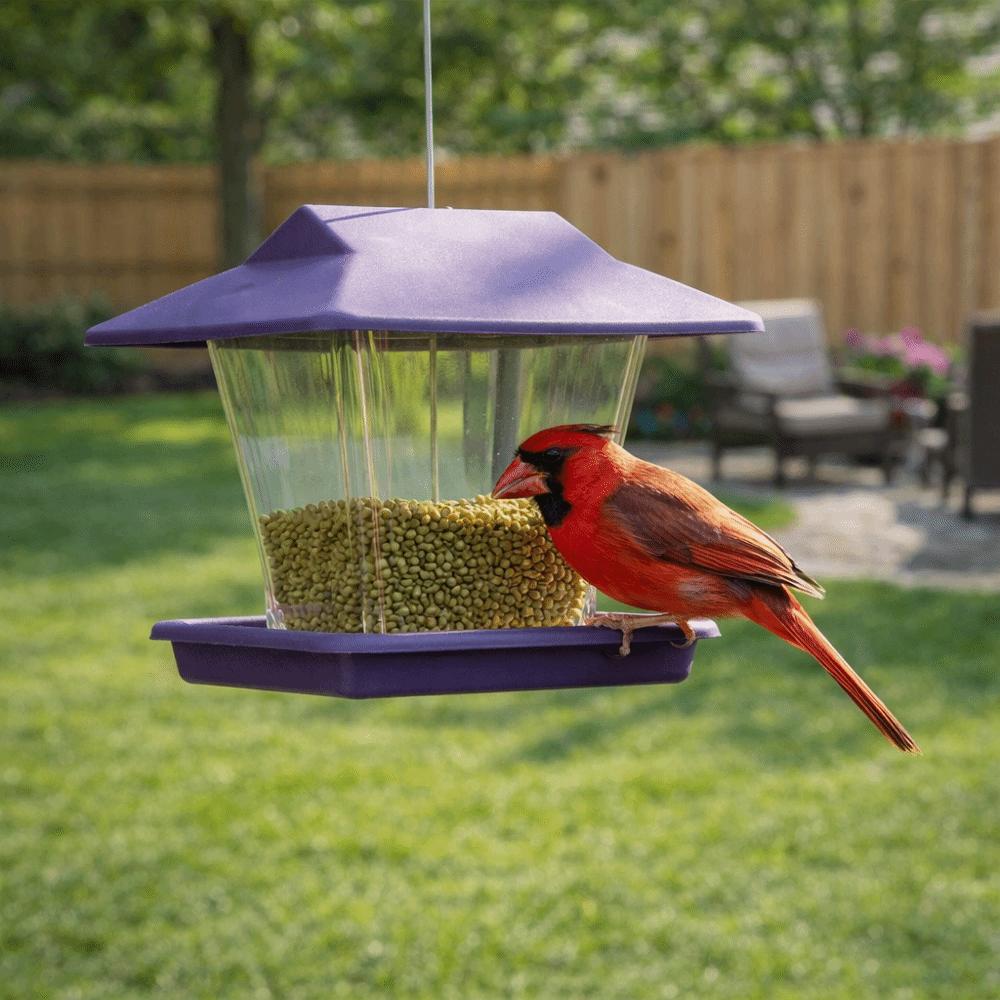 Large Capacity Hanging Bird Feeder House Type Leak-Proof Automatic Hummingbird Feeder Transparent Plastic Bird Feeding Artifact