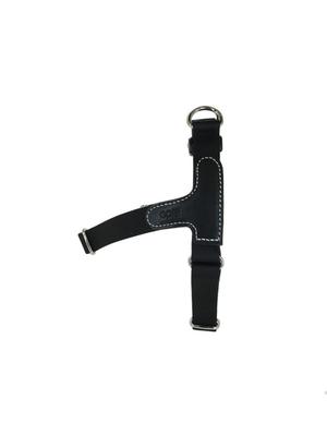 Hundar – Hundhalsband & Koppel
