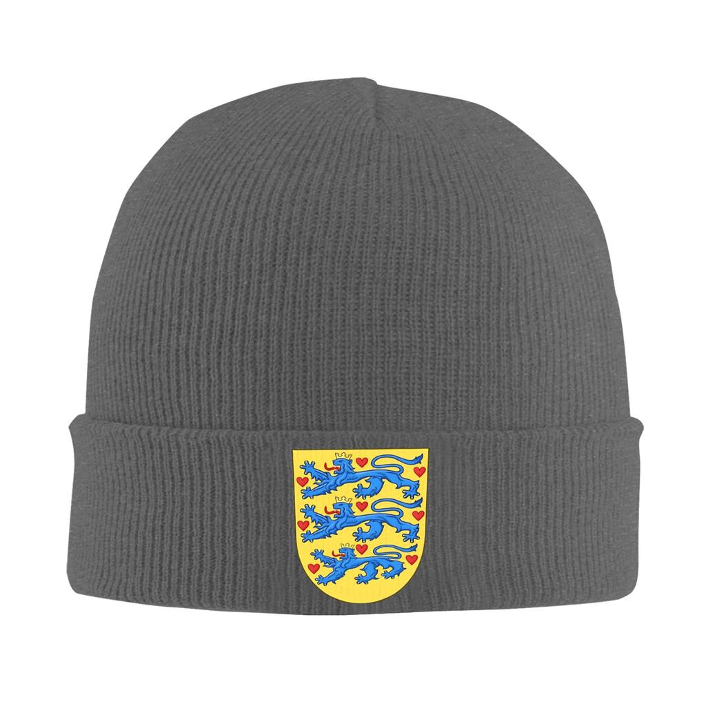 Denmark Coat of Arms Beanie Hats  Skullies Beanies Unisex Adult Funny Elastic Caps Winter Outdoor Pattern Bonnet Hats