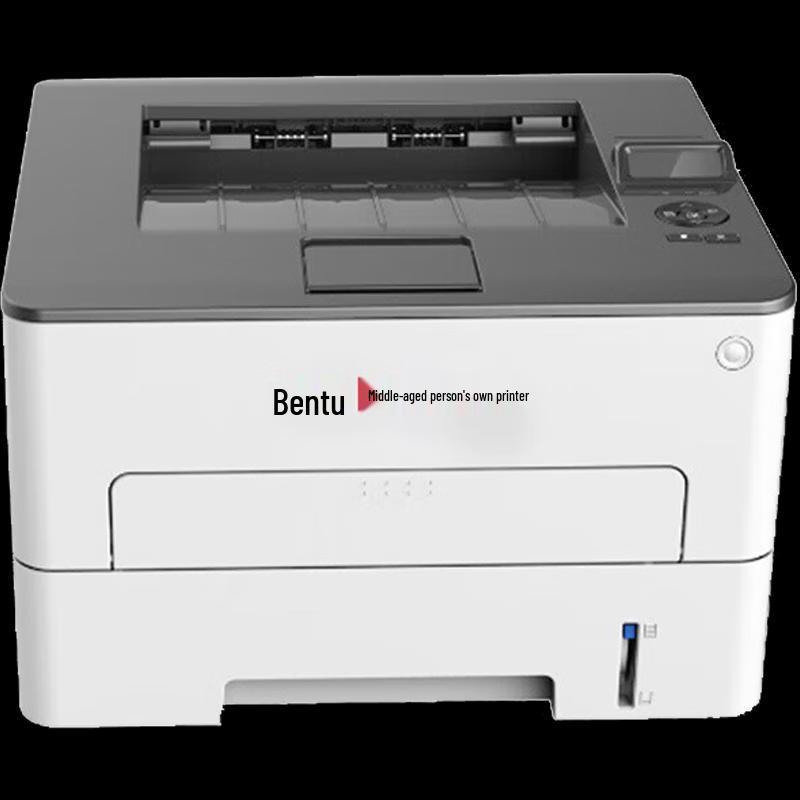 

Pantum P3385DN Black & White Laser Printer CN plug (adapter included)