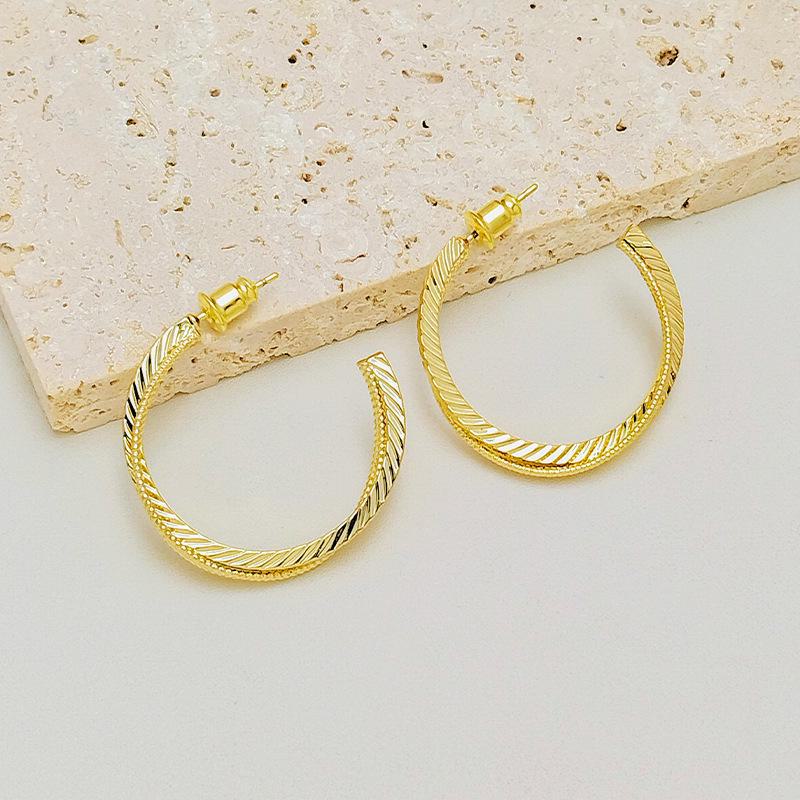 

18K Gold-Plated Fashionable Statement Earrings - European and American Style Model TE01513