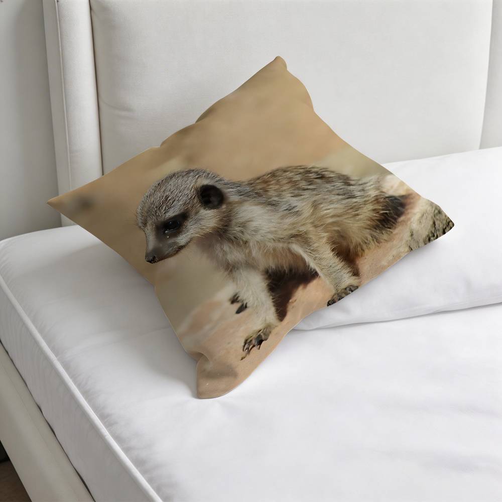 Cute Baby MMeerkat Fashion Square Pillow Case Durable Throw Pillow Cover for Sofa Couch Chair