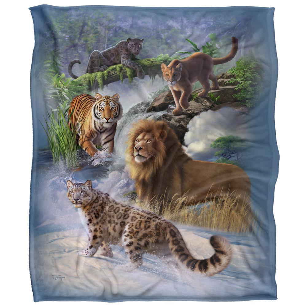 JQ Licensing Jlo Silky Cats Supersoft Blanket