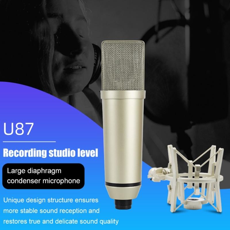 Professional Studio Recording Condenser Microphones With Metal Diaphragm For Clear Sound Capture