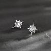 Simple Geometric Frosted Earrings Female Cold Wind Temperament Earring Buckle Niche Hundred with Earrings Affordable Dainty Earrings Daily Wear