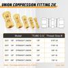 53 PCS DOT Brass Compression Air Brake Nylon Tubing Fittings,Straight Union Fitting Assortment Kit 1/4" 1/8" 3/8" 1/2" 5/8" for Truck or Industrial