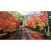 Eizan Railway: To the Maple Tunnel [4K HDR] Kirara Observation Train [Ultra HD Blu-ray]