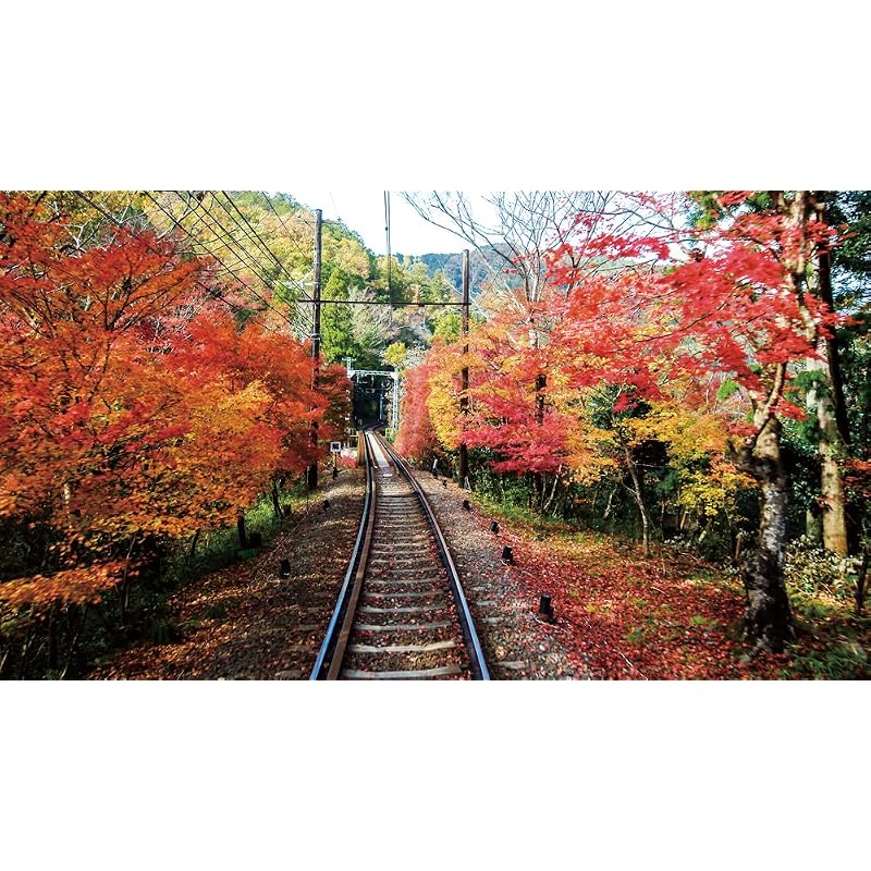 Eizan Railway: To the Maple Tunnel [4K HDR] Kirara Observation Train [Ultra HD Blu-ray]