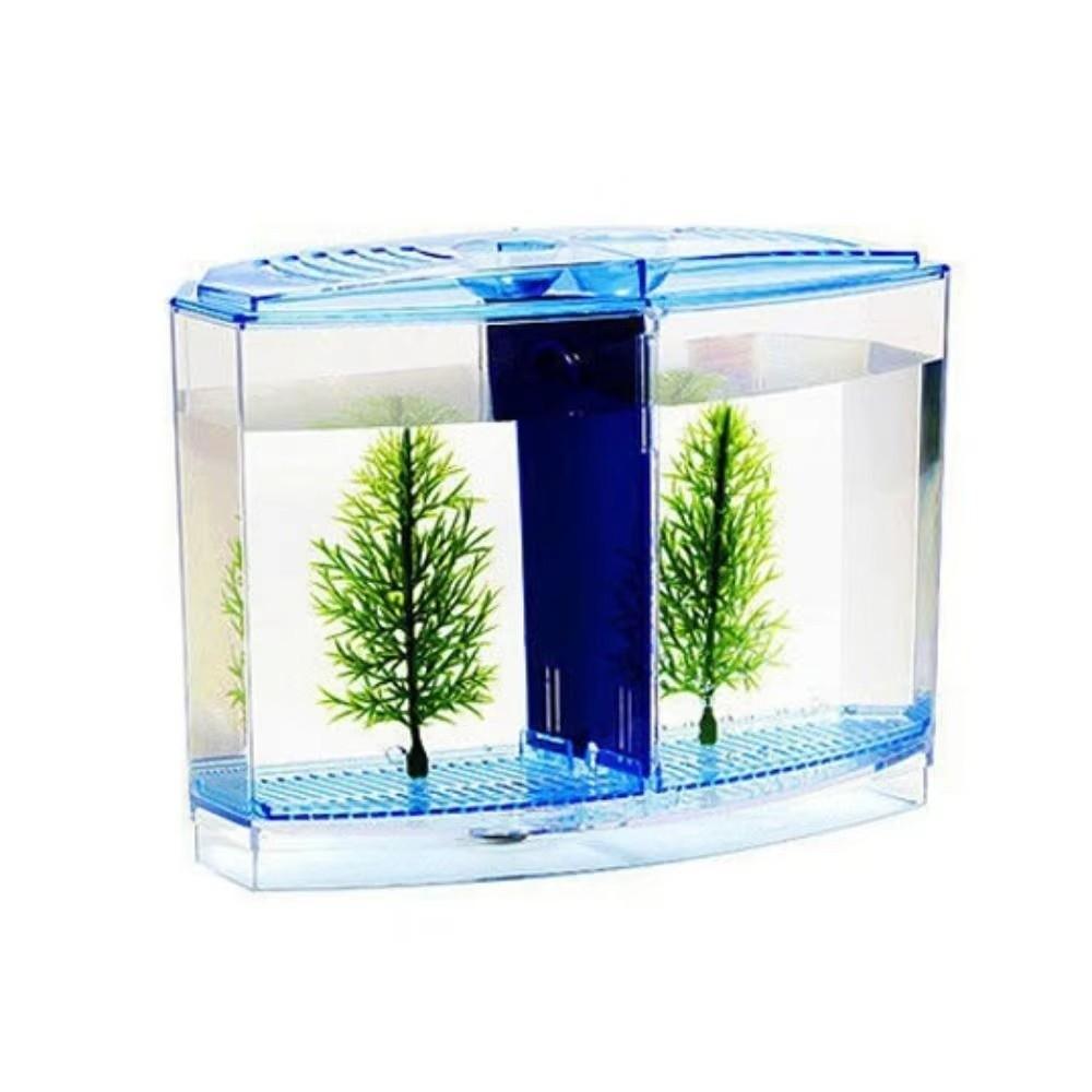 Transparent Betta Isolation Box Single/Double Grid Fish Breeder Box  Office Fish
