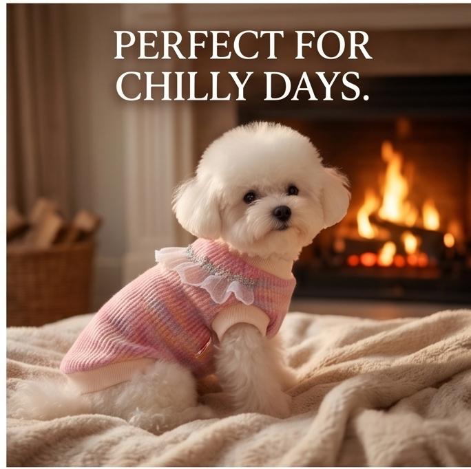 Pull Tricoté pour Chien avec Bordure en Dentelle Vêtements Chauds Automne Hiver pour Petits Chiens Teddy Bichon Spitz Pomeranian Gilet Confortable pour Animaux de Compagnie pour un Usage Quotidien
