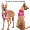 Dog Vest Adjustable Training Harness for Training Walking Belt for Large Medium Small Dogs Rope Multicolored