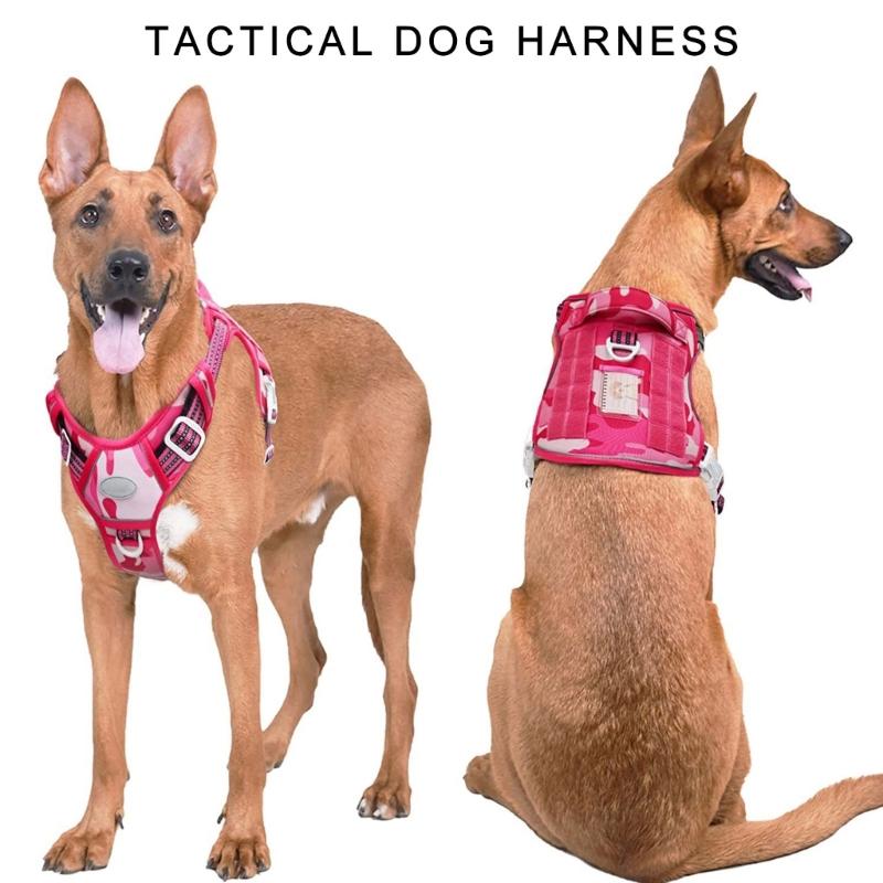 Dog Vest Adjustable Training Harness for Training Walking Belt for Large Medium Small Dogs Rope Multicolored