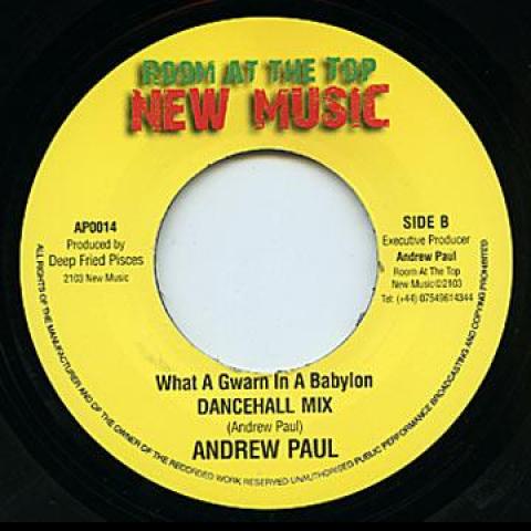 7inch Record ANDREW PAUL - What A Gwarn In A Babylon (Dancehal AP0014 Room At The Top 2013 UK Reggae, Ska & Dub