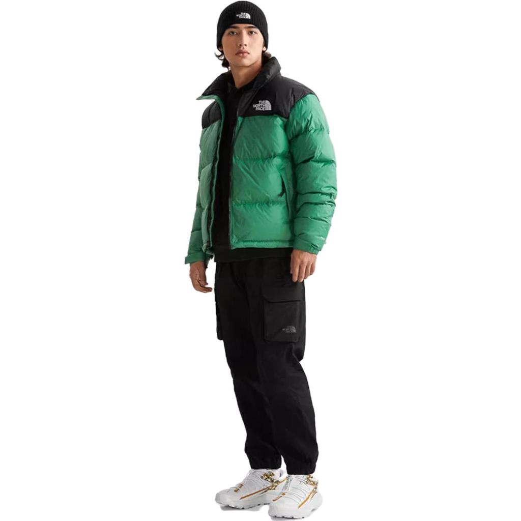 THE NORTH FACE 1996 Retro Nuptse 700 Fill Packable Jacket Unisex NF0A3C8D-N11
