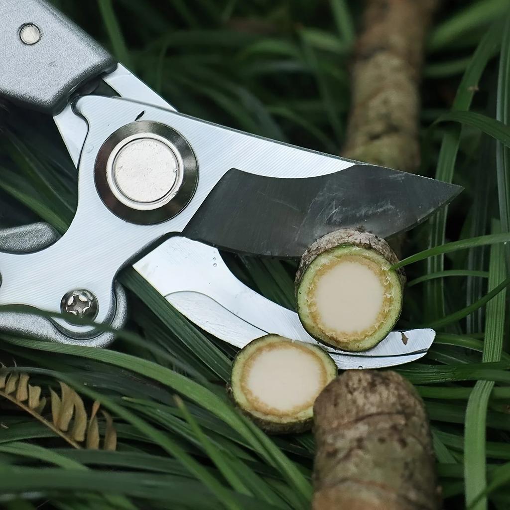 1Pc Garden Pruning Shears, Strong Stainless Steel Scissors, Hand Pruners For Fruit Pedicels, Power Saving Trimming Tools