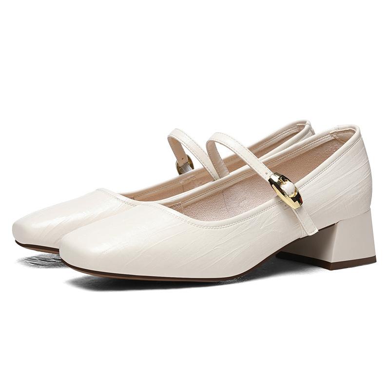French Thick Heel Single Shoes Fashion Light Luxury Spring New Mary Jane Small Leather Shoes with Skirt Commuter High Heels Women's Shoes