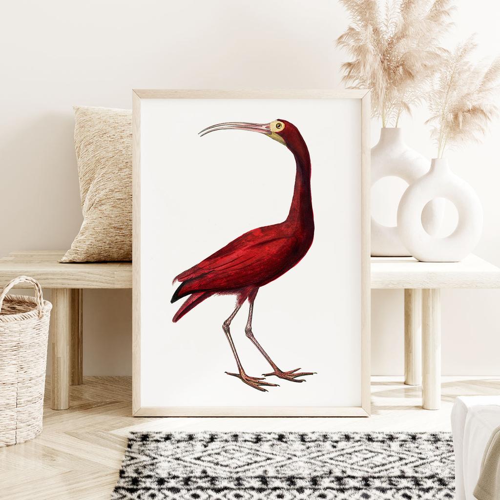 Poster Red Bird Illustration