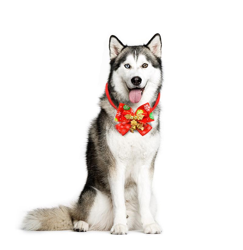 Elegant Pet Christmas Bowtie For Cats And Dogs In Colorful Polyester For Festive Fun