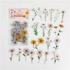 Waterproof Rose Journal Material Tulip Journal Stickers Pet Transparent Nature Series Stickers Journal Book Stickers