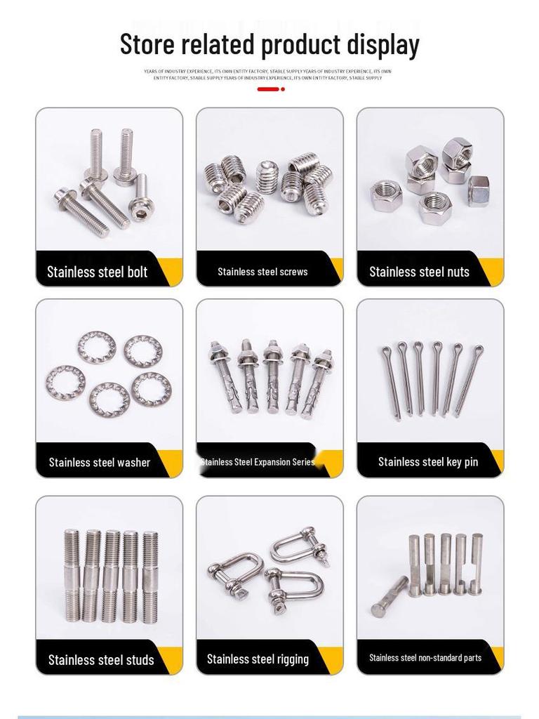 304316 Stainless Steel Slotted Head Expansion Screw