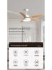 Nordic Style Ceiling Fan Light: Silent, Integrated Pendant for Living & Dining Room Ambiance