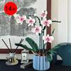 Set di Costruzioni Floreali Orchidee, Set Decorativo da Assemblare Fai da Te, Regalo di Natale per Fidanzata e Moglie