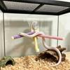 Anti Slip Bird Standing Perch Toy Suction Cup Reptile Climbing Rack  Birdcage Accessory