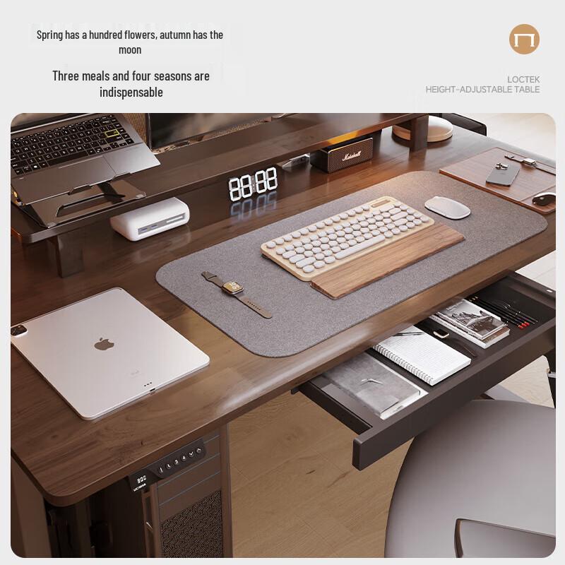 Loctek ES2 Pro Electric Standing Desk