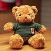 Cute Colorful Hoodie Teddy Bear Plush Toy