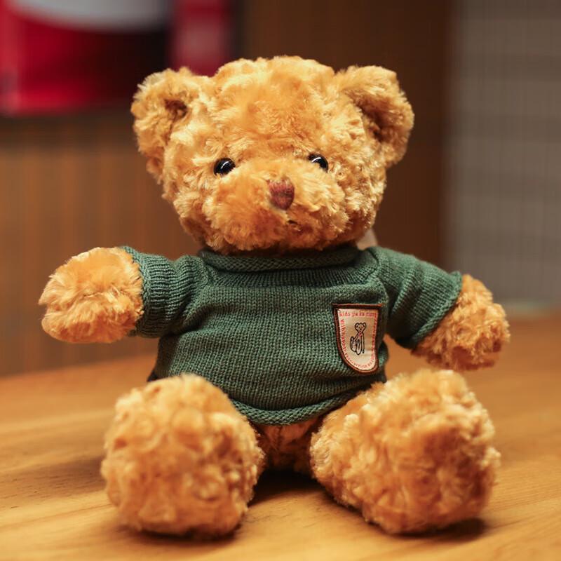 Cute Colorful Hoodie Teddy Bear Plush Toy