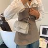New Fashion Small Square Bag Women's Versatile Shoulder Messenger Bag