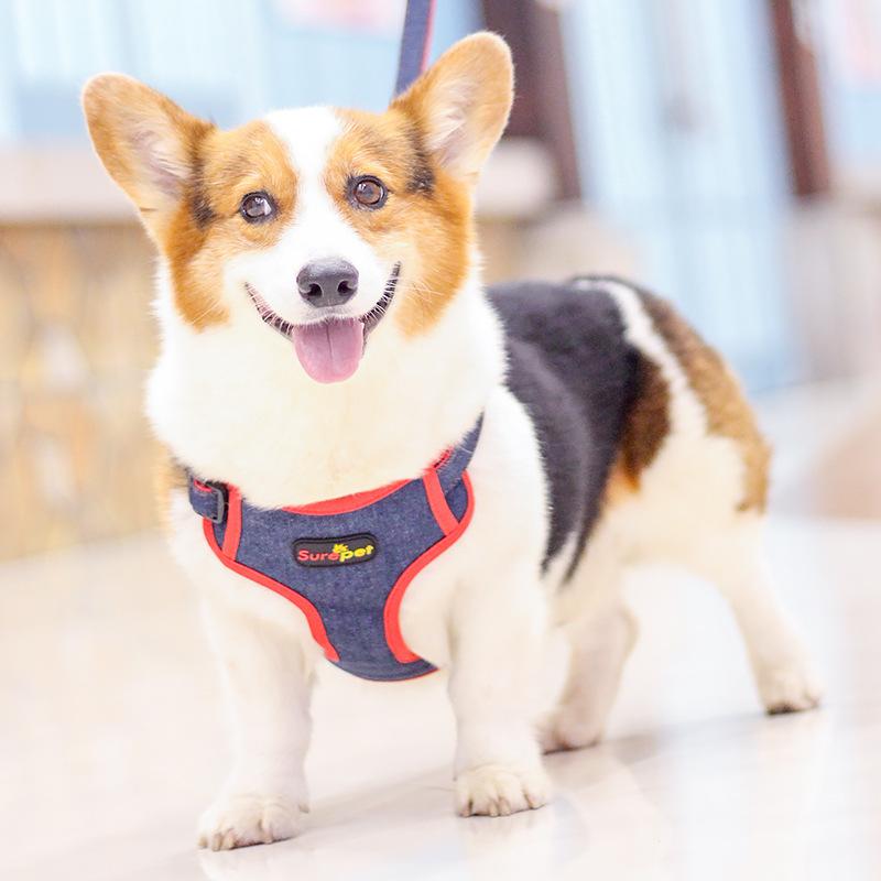 cowboy vest for dogs
