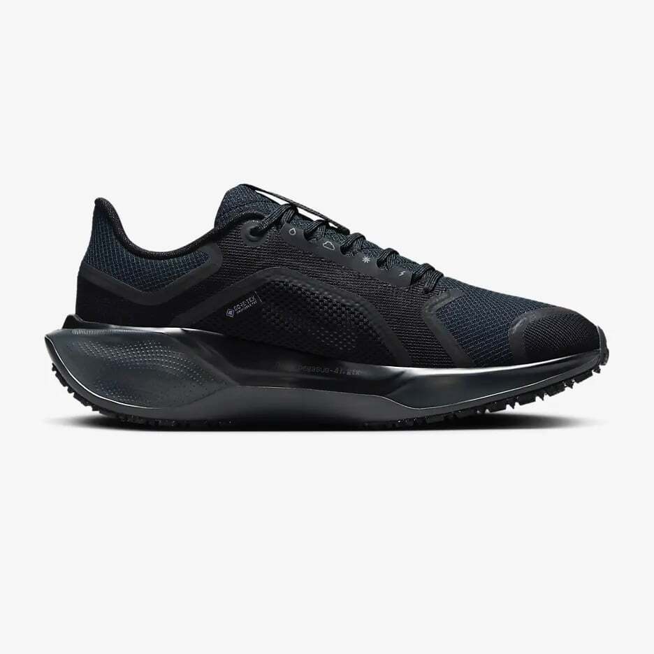 FQ1357-001 Nike Pegasus 41 GORE-TEX Black Anthracite (Women's)
