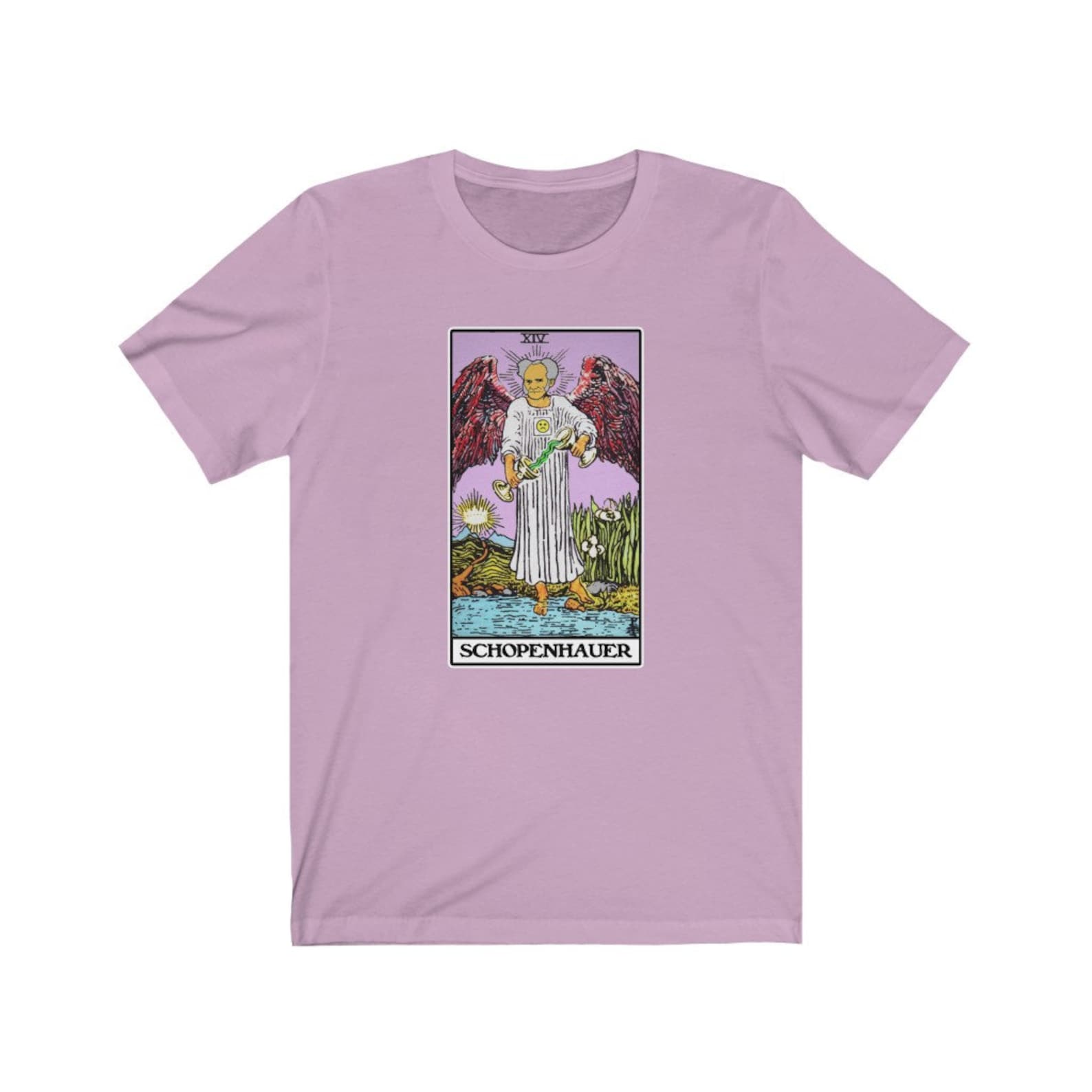 Schopenhauer Temperance Tarot Philosophy T-Shirt M