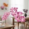 Moisturizing Phalaenopsis Branch 80 CM Simulation Flower Artificial Vanda Orchid  Party Favors