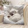 Cute Sleeping Puppy Pillow Case Fluffy White Dog Cushion Cover Soft Pet Art Home Decor for Sofa Bedroom Living Room Gift