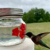 Hanging Bird Feeder Outdoor Transparent Mason Jar Flowers Decoration Hummingbird Feeder