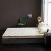 WTEMPO Lamb Wool School Dormitory Bed Mattress Pad Foldable High Quality Soft Mattress Winter Thickened Plush Bedroom Bed Sheet Tatami Plush Pad