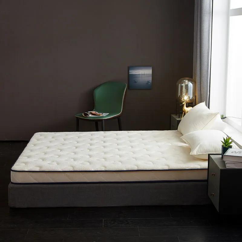 WTEMPO Lamb Wool School Dormitory Bed Mattress Pad Foldable High Quality Soft Mattress Winter Thickened Plush Bedroom Bed Sheet Tatami Plush Pad